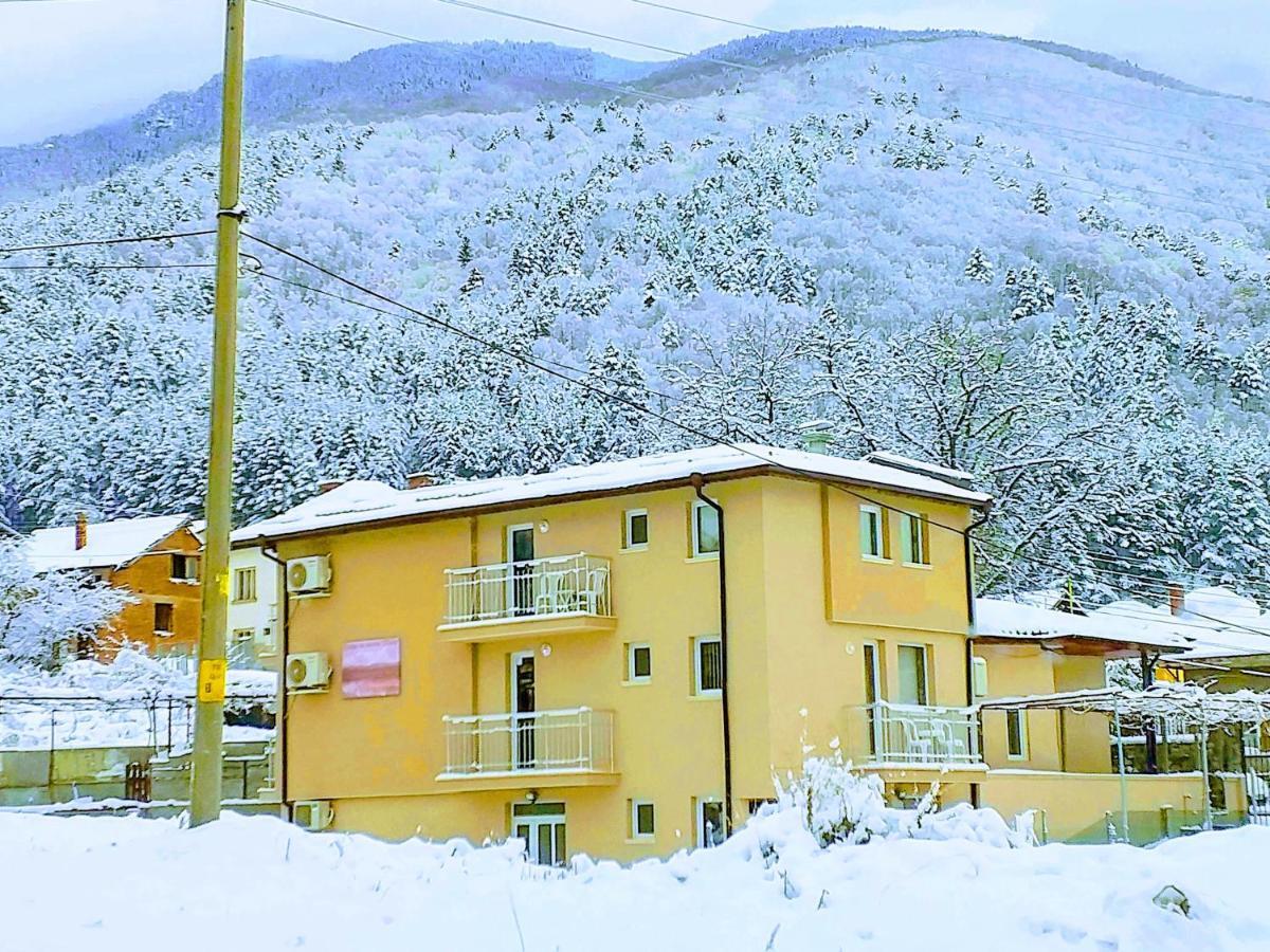 Guest House Tedi Sapareva Banya Εξωτερικό φωτογραφία